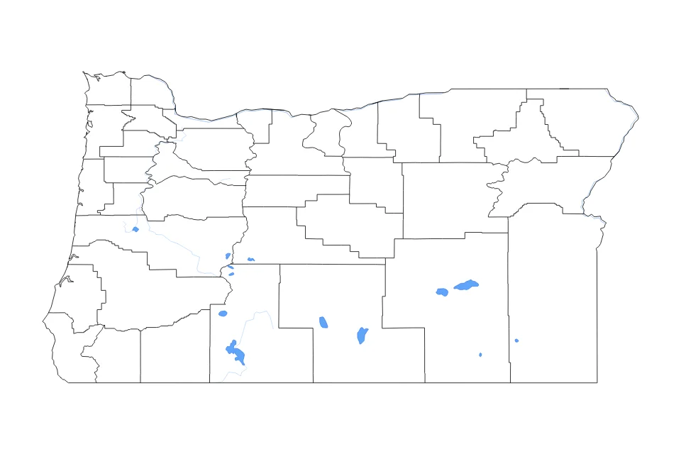Vista previa del mapa de contorno de Oregon