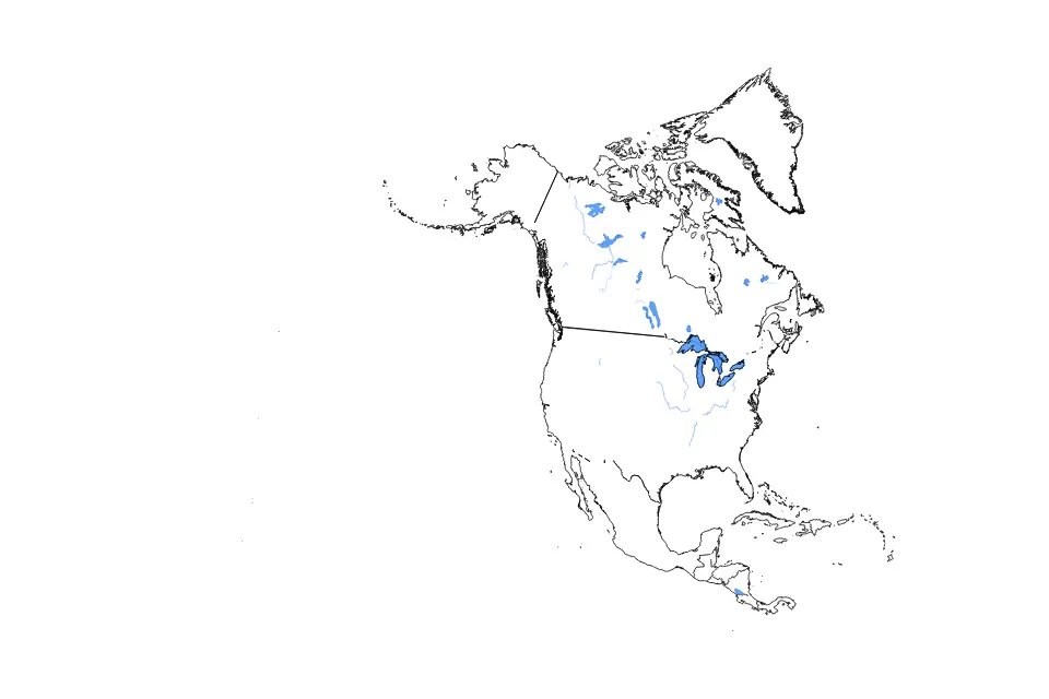 Vista previa del mapa de contorno de North America