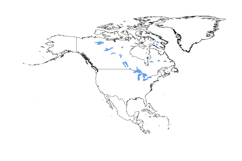 Mapa de contorno de North America con límites administrativos internos, lagos y ríos.