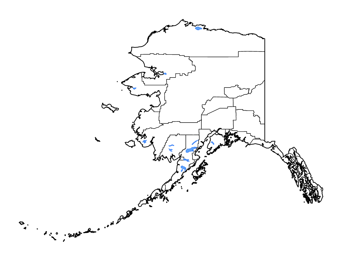 Mapa de contorno de Alaska, United States con límites administrativos internos, lagos y ríos.