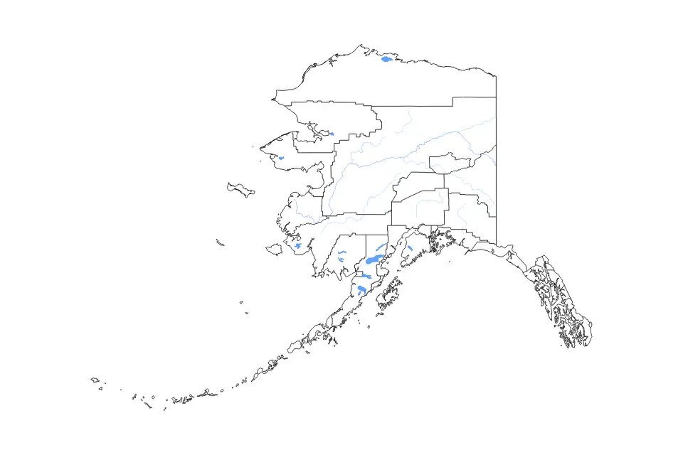 Alaska outline map preview
