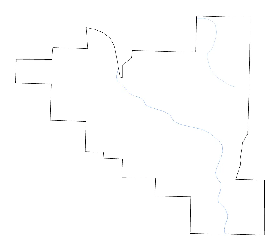Pulaski outline map preview