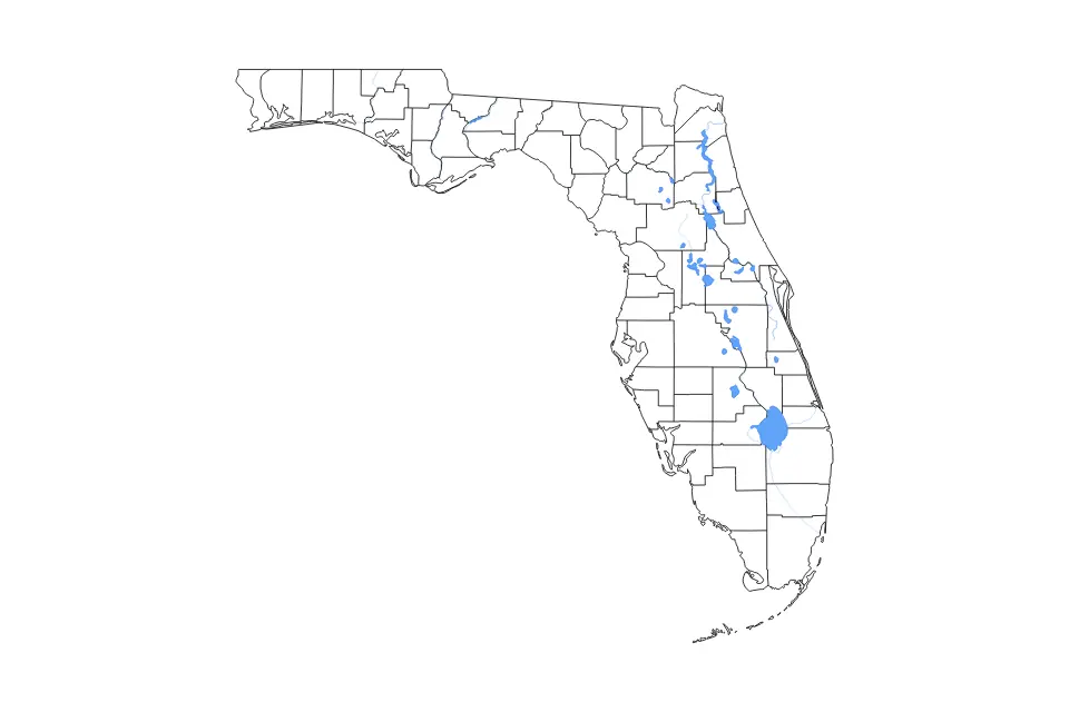 Aperçu de la carte de contour de Florida