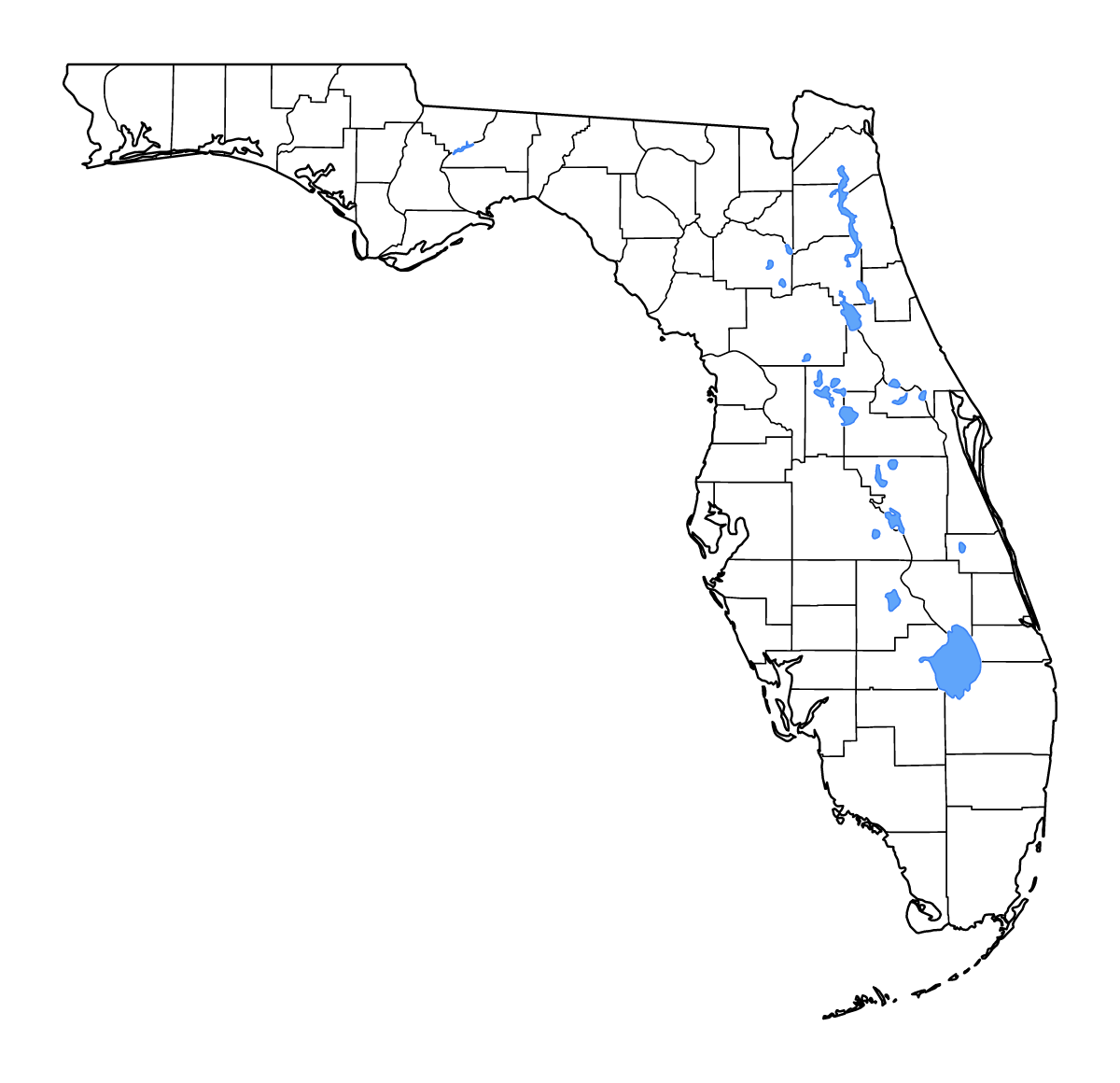 Carte de contour de Florida, United States avec limites administratives internes, lacs et rivières.