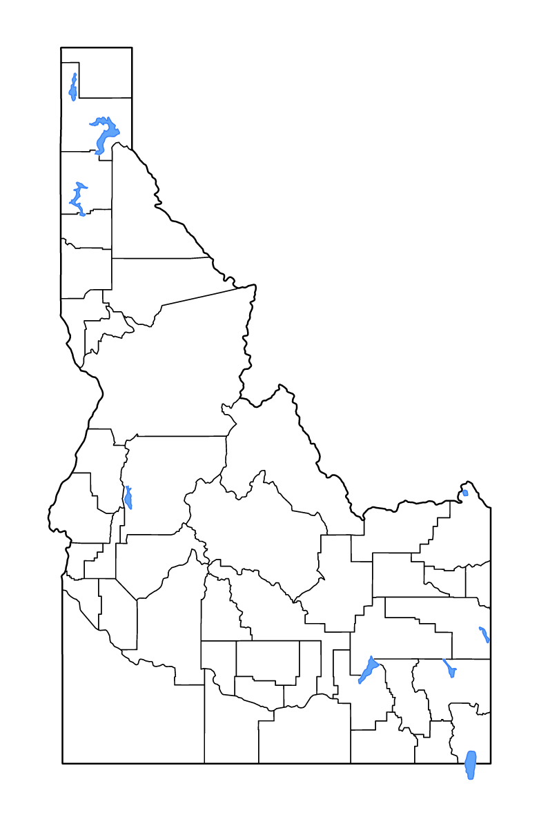 Mapa de contorno de Idaho, United States con límites administrativos internos, lagos y ríos.