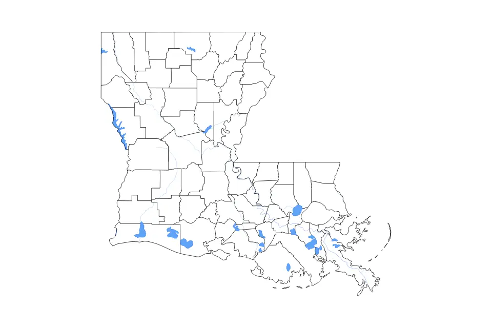 Mapa de Louisiana, United States de tipo contorno, subdivisiones, lagos y ríos para América del Norte, con contorno, subdivisiones, lagos y ríos con elementos de agua como Lake Palourde, Lake Fausse Pointe y Lake Maurepas.