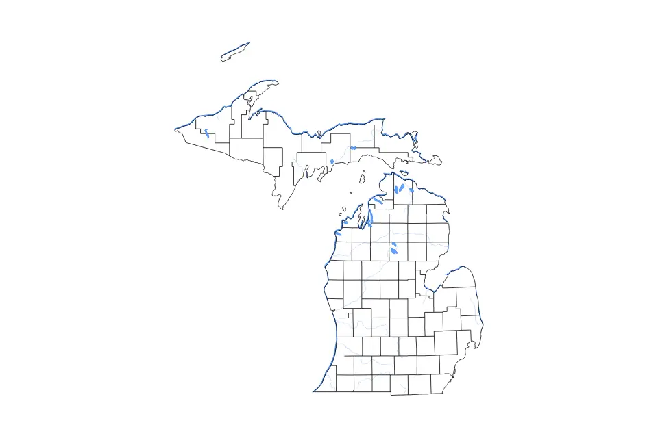Outline map of Michigan, United States with subdivision borders and major lakes and rivers.