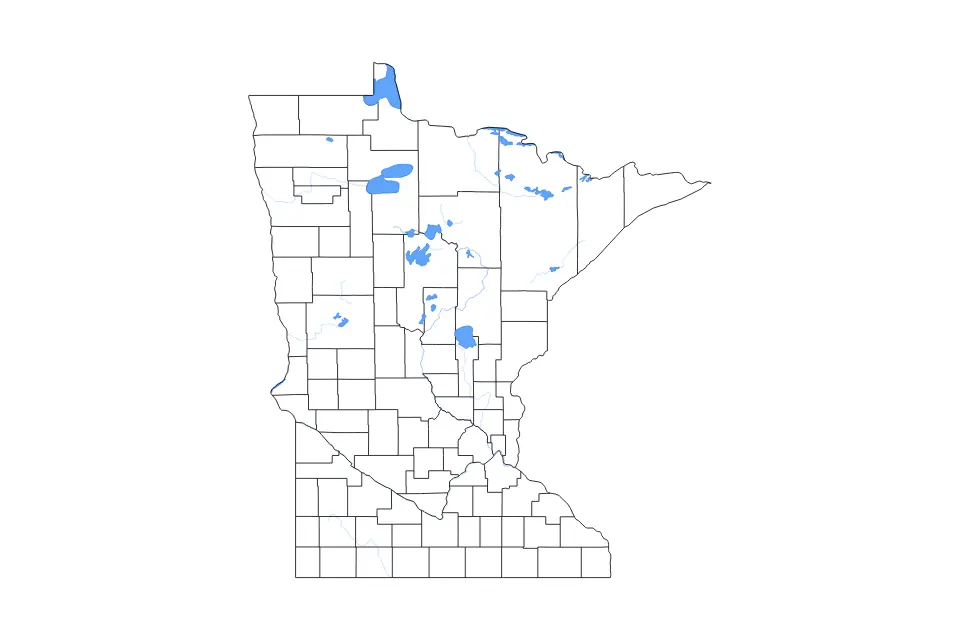 Outline map of Minnesota, United States with subdivision borders and major lakes and rivers.