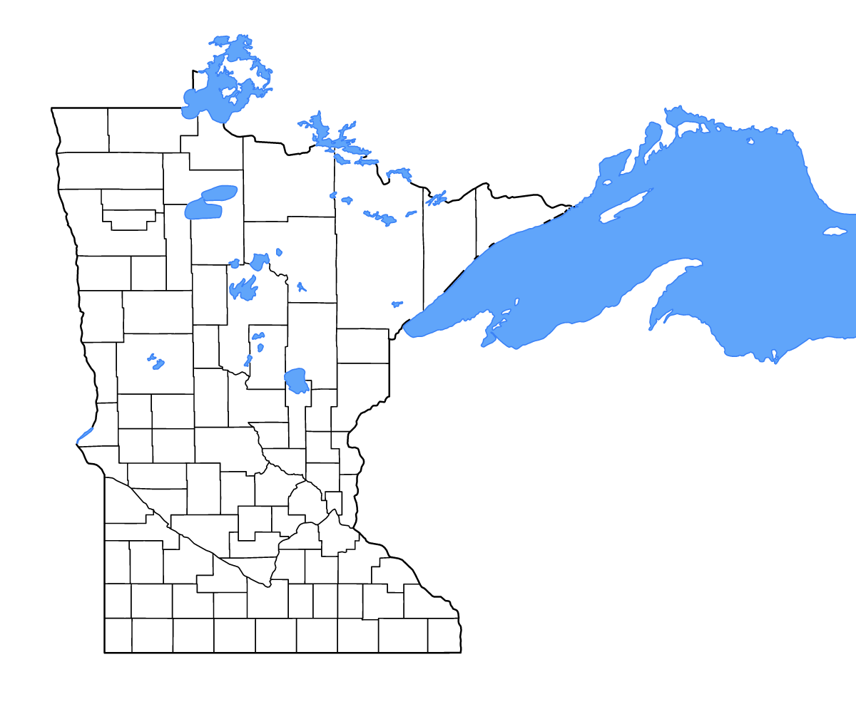 Mapa de contorno de Minnesota, United States con límites administrativos internos, lagos y ríos.