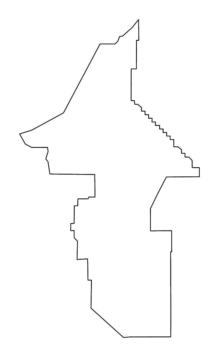 Outline map of Lyon County, Nevada with rivers.