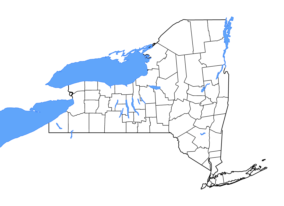 Mapa de contorno de New York, United States con límites administrativos internos, lagos y ríos.