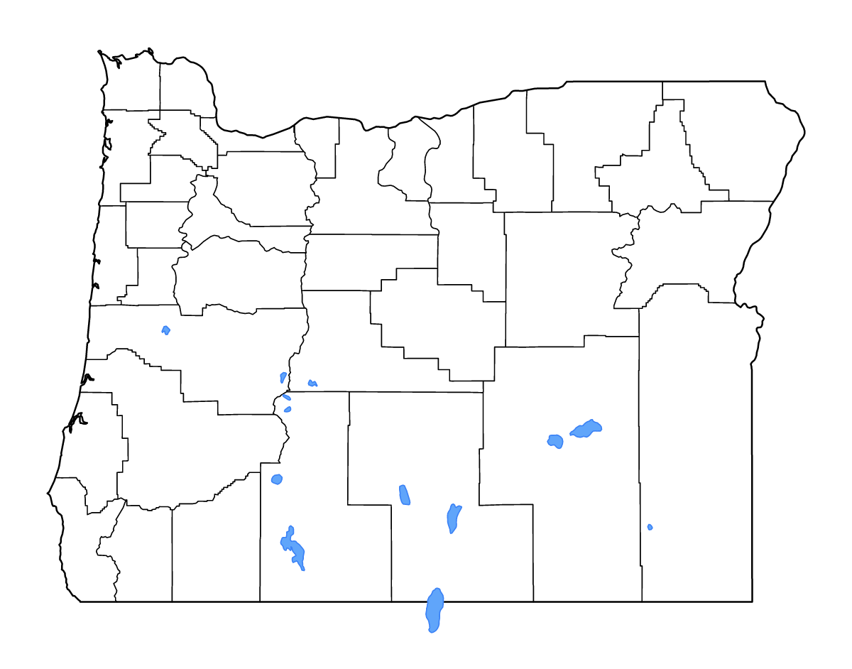Mapa de contorno de Oregon, United States con límites administrativos internos, lagos y ríos.