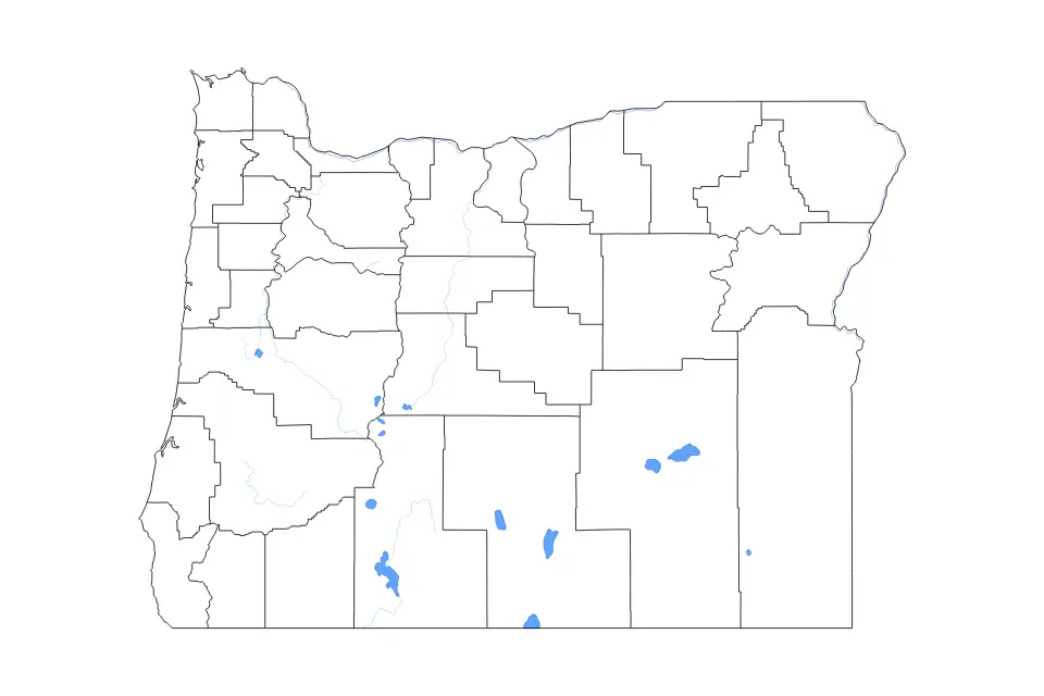 Outline map of Oregon, United States with subdivision borders and major lakes and rivers.