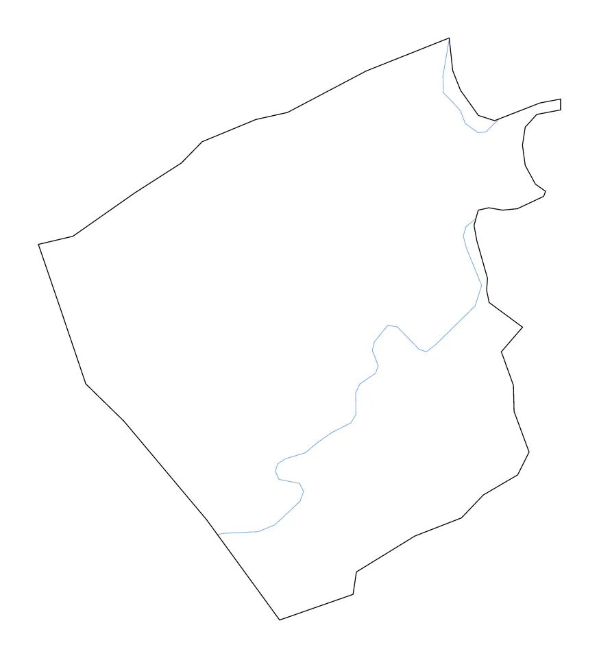 Pulaski outline map preview