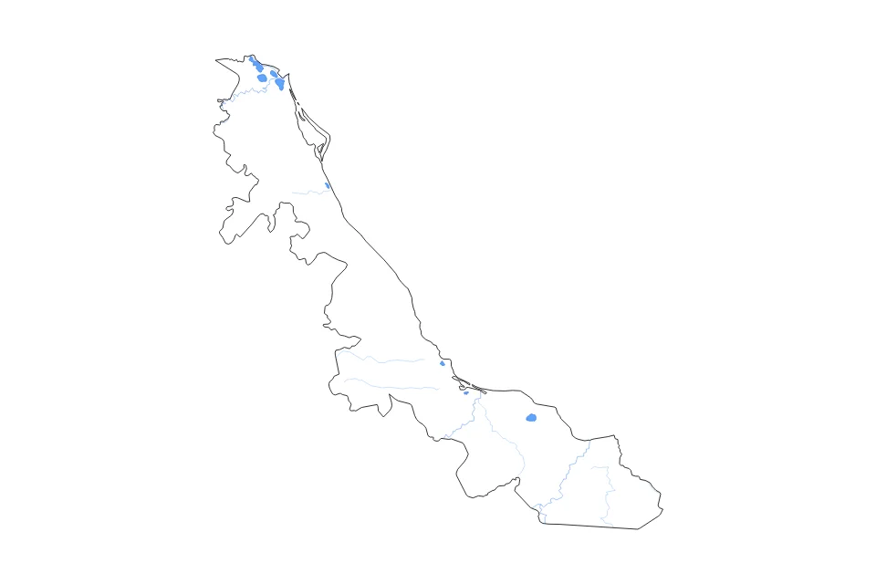 Aperçu de la carte de contour de Veracruz