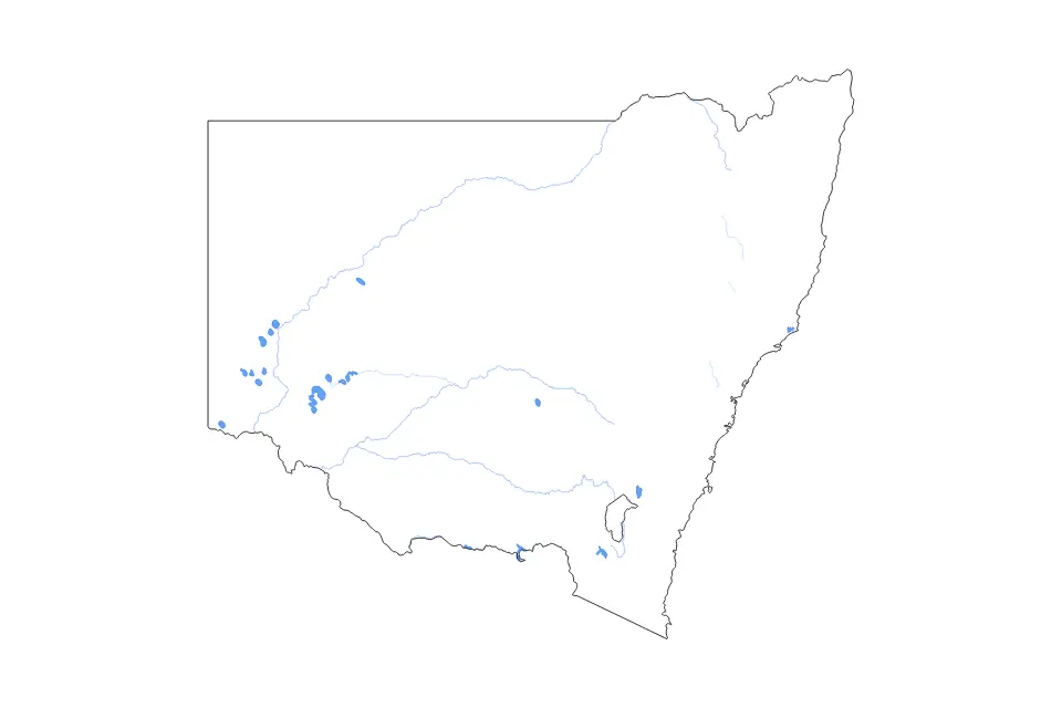 Outline map of New South Wales, Australia with subdivision borders and major lakes and rivers.
