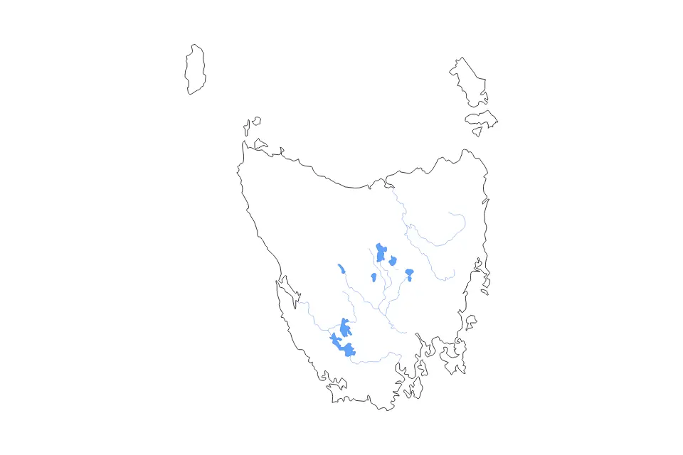 Outline map of Tasmania, Australia with subdivision borders and major lakes and rivers.