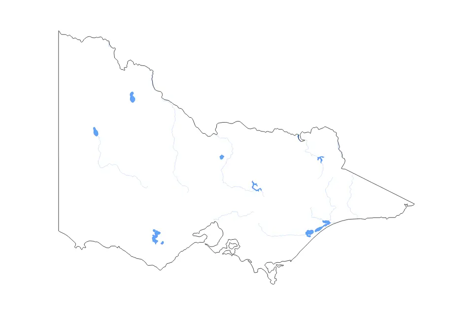 Outline map of Victoria, Australia with subdivision borders and major lakes and rivers.