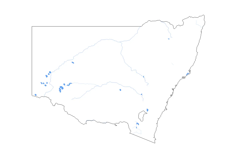 Vista previa del mapa de contorno de New South Wales