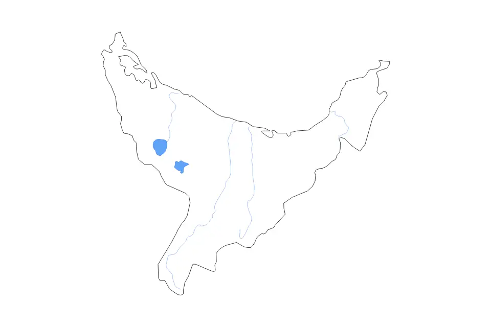 Bay of Plenty outline map preview
