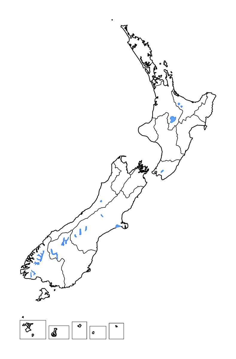 Mapa de contorno de New Zealand con límites administrativos internos, lagos y ríos.