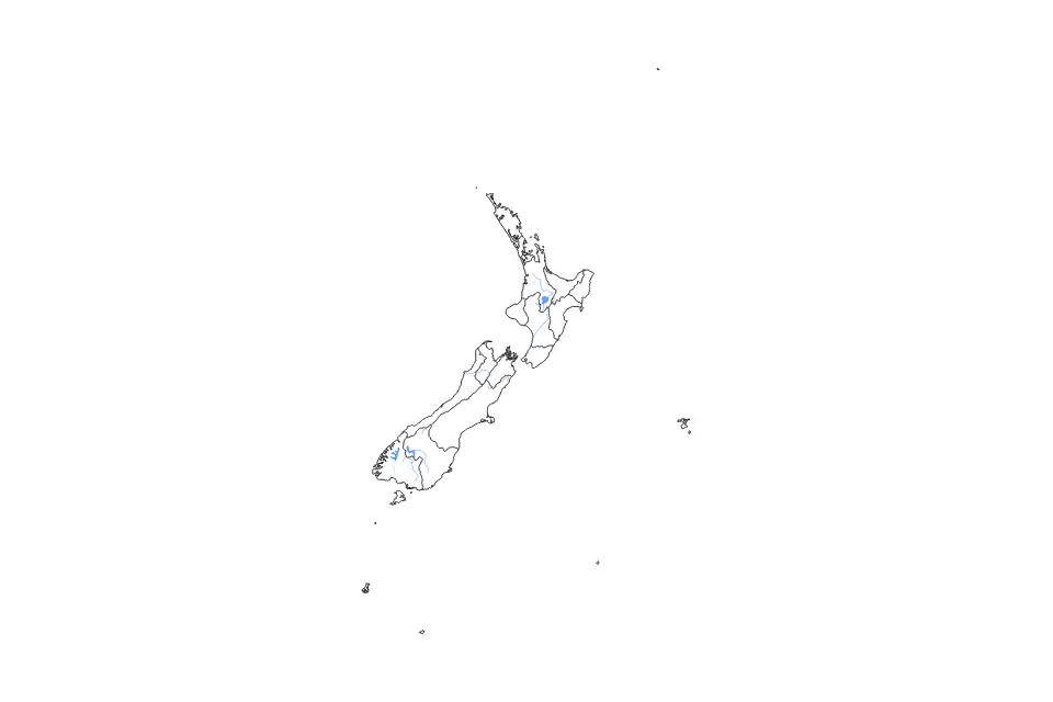 New Zealand outline map preview