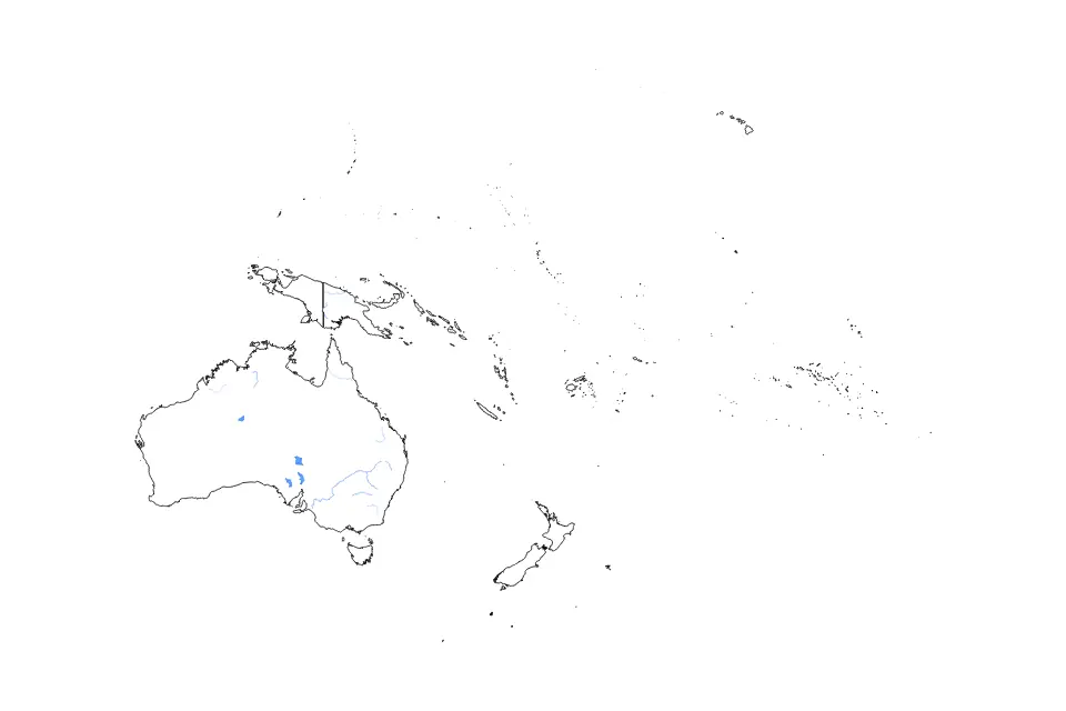 Vista previa del mapa de contorno de Oceania