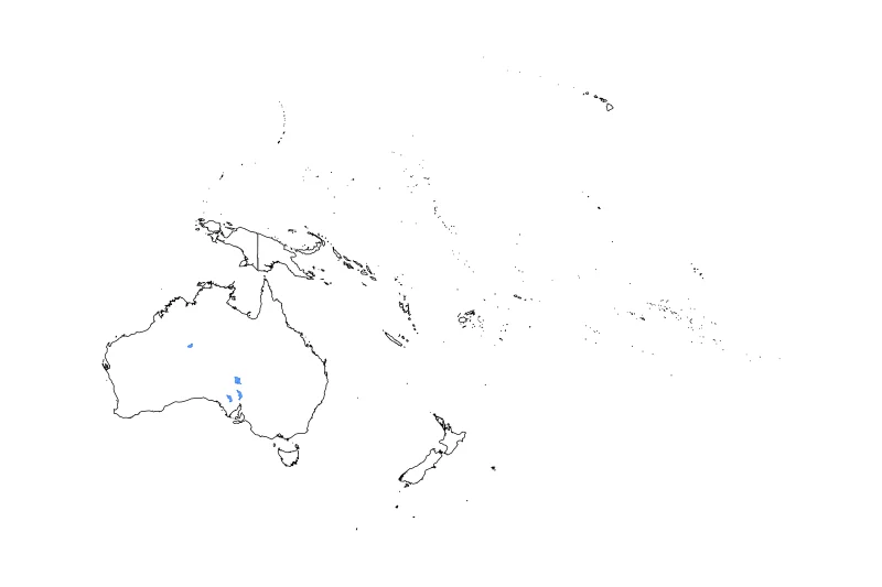 Mapa de contorno de Oceania con límites administrativos internos, lagos y ríos.
