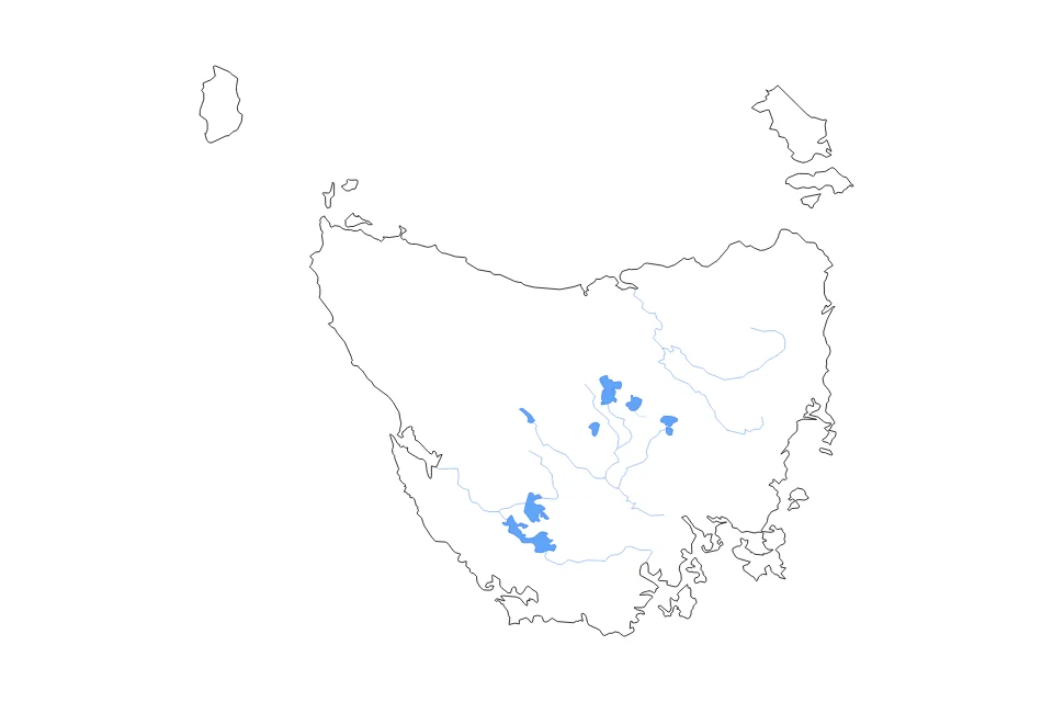 Aperçu de la carte de contour de Tasmania
