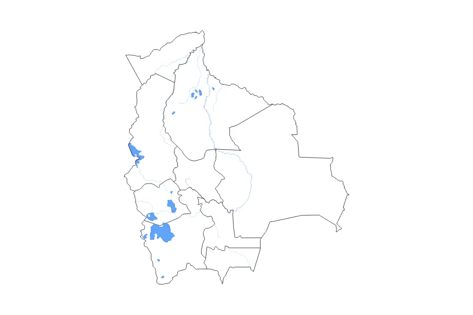 Bolivia outline map preview