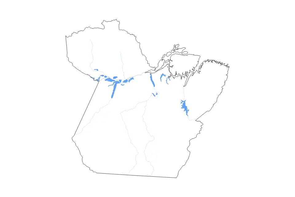 Outline map of Pará, Brazil with subdivision borders and major lakes and rivers.