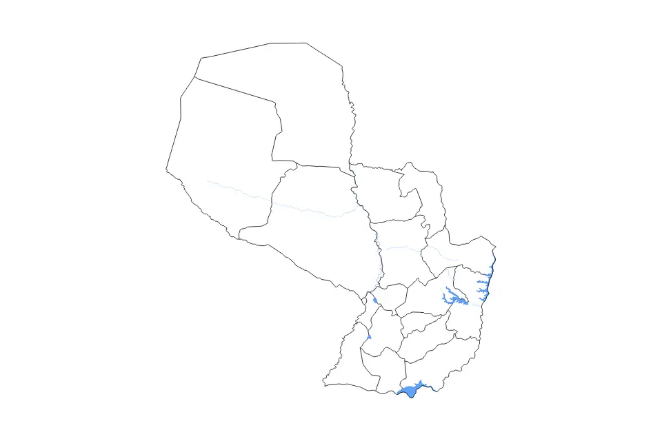 Vista previa del mapa de contorno de Paraguay