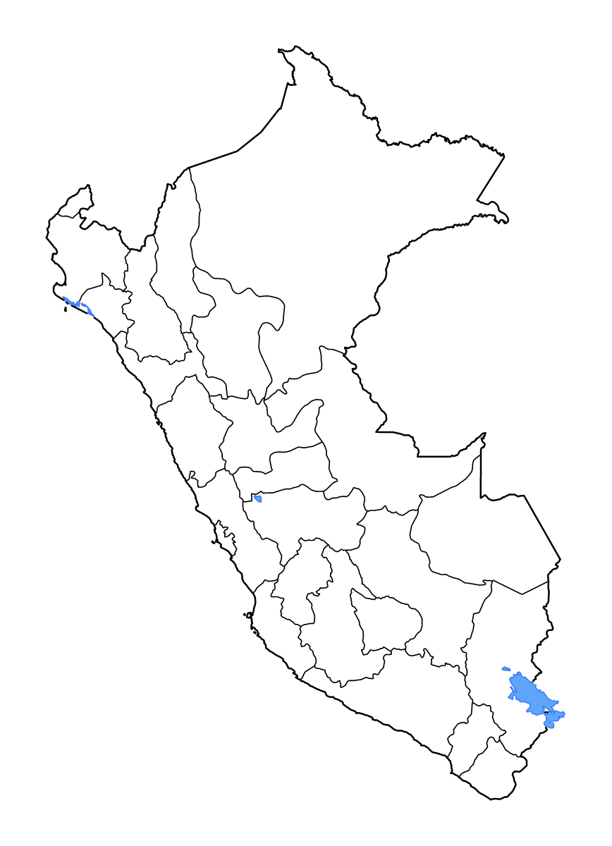 Mapa de contorno de Peru con límites administrativos internos, lagos y ríos.