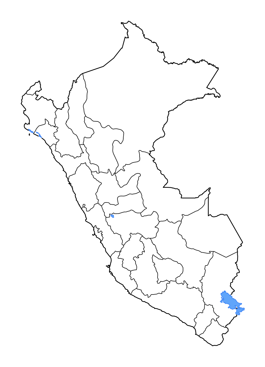 Mapa de contorno de Peru con límites administrativos internos, lagos y ríos.