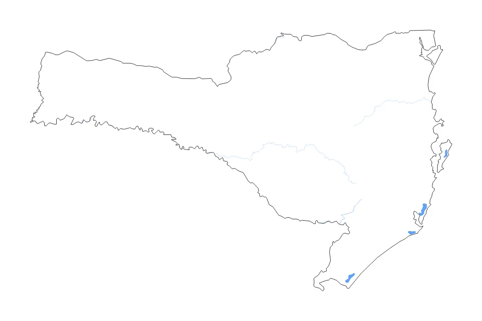 Aperçu de la carte de contour de Santa Catarina