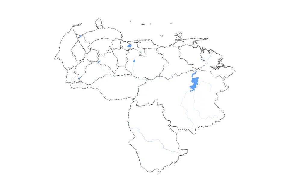 Venezuela outline map preview